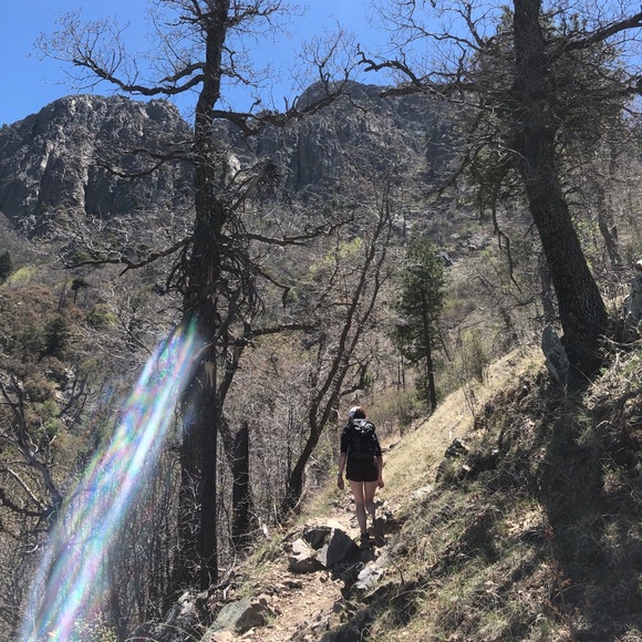 Meet your Posher, Elissa - Picture 1 of 1